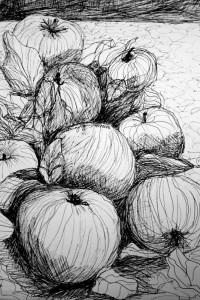 Onion Still Life 11"x14" techpen on paper