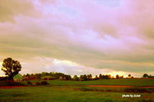 barrie visit 2011 361