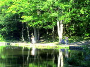 glen haffy conservation2013 028