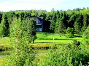 glen haffy conservation2013 133