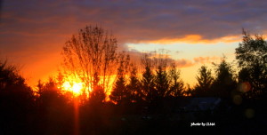 halloween 2011 and sunrises 405