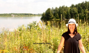 island lake2013 reflector studies 293