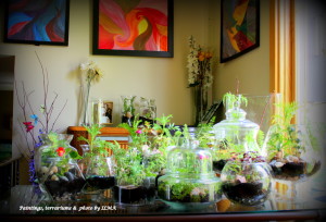 new terrariums batch 040