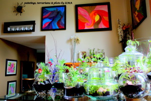 new terrariums batch 042