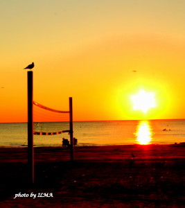 port elgin camping 2012 432