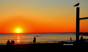 port elgin camping 2012 483