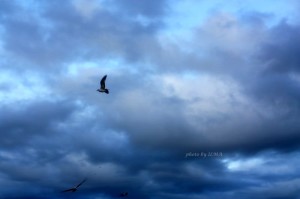 stormycloudscape&overflow 091