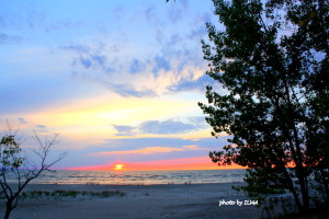 wasaga 3rd anniv picnic & beatrice 3rd visit 142