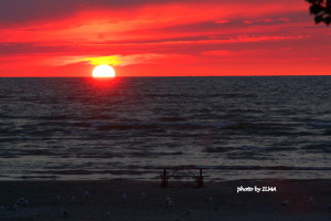 wasaga 3rd anniv picnic & beatrice 3rd visit 183