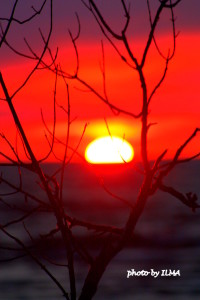 wasaga 3rd anniv picnic & beatrice 3rd visit 189