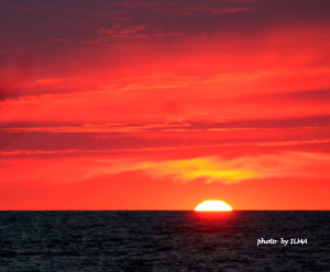 wasaga 3rd anniv picnic & beatrice 3rd visit 198