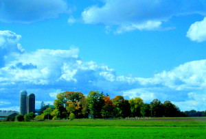 birthright convention2012 049