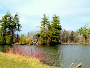 burks falls 2014,barrie,erin, stanley hoop 122