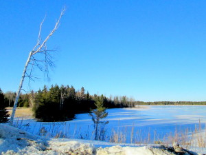 forest lawn winter walk and hoop 034