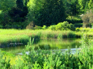 glen haffy conservation2013 144