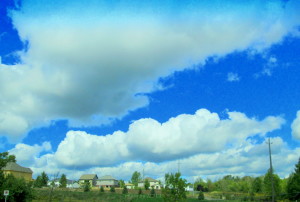 guelph arboretum 2012 028