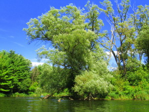 niagara by the lake 2012 164