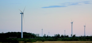 sauble beach 2011 658