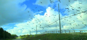 stormy clouds 2012 073