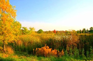 troysbutterflyevent 068