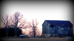 wellington museum 054