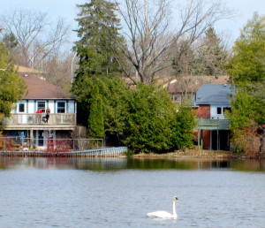 burks falls 2014,barrie,erin, stanley hoop 130