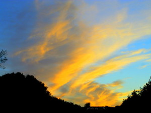 cn tower 2013 and wasaga2013 226