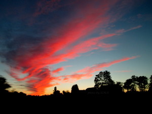 cn tower 2013 and wasaga2013 259