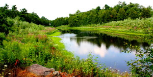 rockwood and alines bday 236