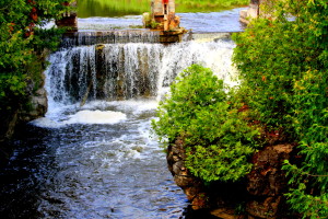 rockwood and alines bday 237