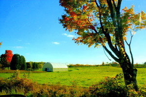 auries 2012 visit 158