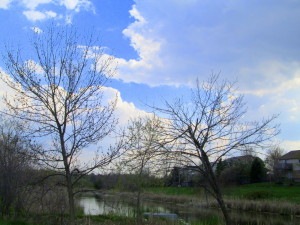 beatrice at ir's place and hoopwalks 083