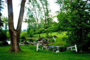beatrice first visit to lola 005