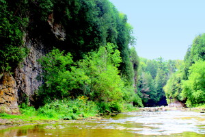 elora gorge 2011 028