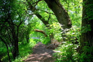 guelphriverbikeride 126