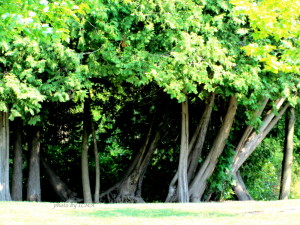 juanita's unedited 042