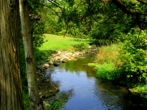 juanita's unedited 047