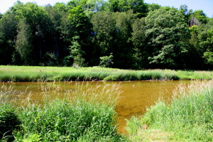 weppler farm and home 032