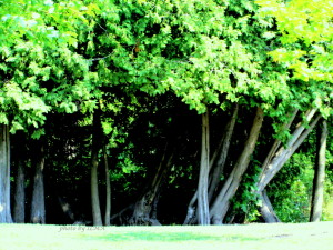 juanita's unedited 042