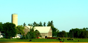 sauble beach 2011 022