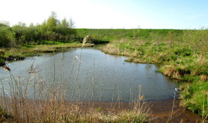 beatrice at ir's place and hoopwalks 114