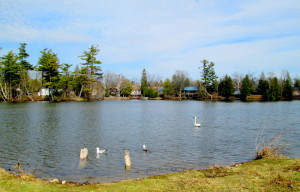 burks falls 2014,barrie,erin, stanley hoop 116