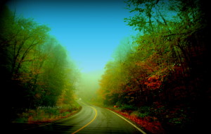 foggy day in forks of the credit 017