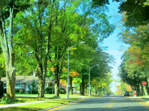 northbayfallvisit2013 002