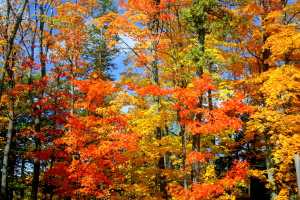 auries 2012 visit 068