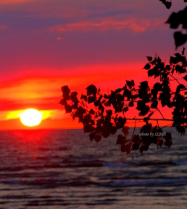 wasaga 3rd anniv picnic & beatrice 3rd visit 170