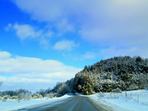 winter 2013 landscapes 016