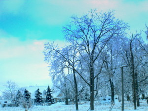 winter 2013 landscapes 026