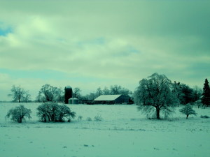 winter 2013 landscapes 032-003