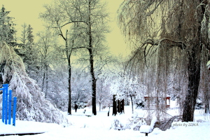 xmasoutdoorandindoor 024